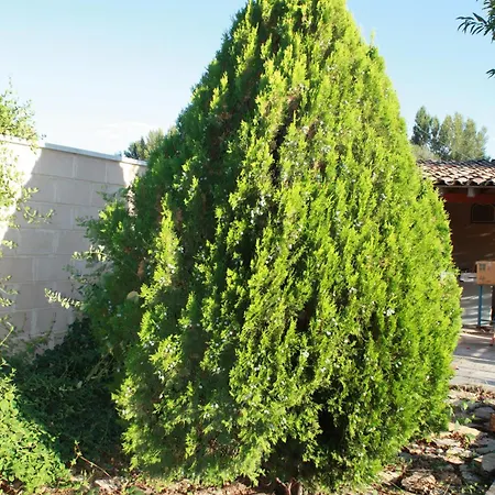 Διαμέρισμα Loft La Buena Vida