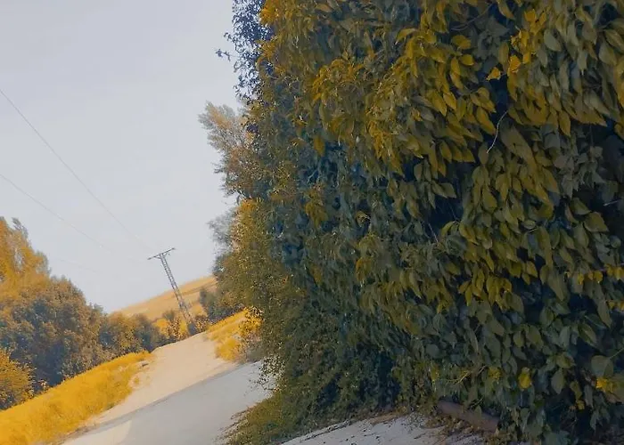 Loft La Buena Vida 아파트