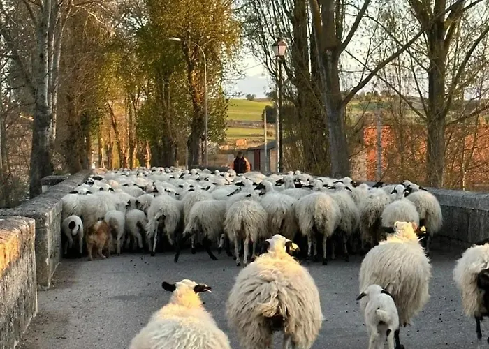 아파트 Loft La Buena Vida *