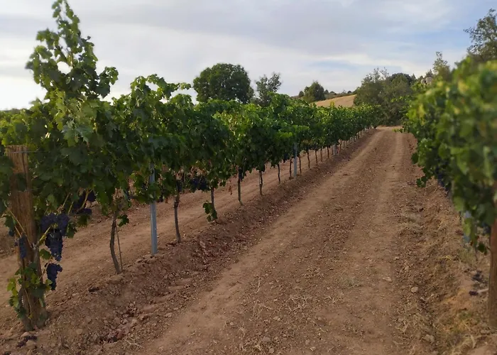 Loft La Buena Vida 아파트 페냐란다 데 두에로