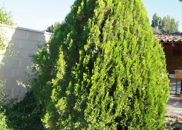 아파트 Loft La Buena Vida