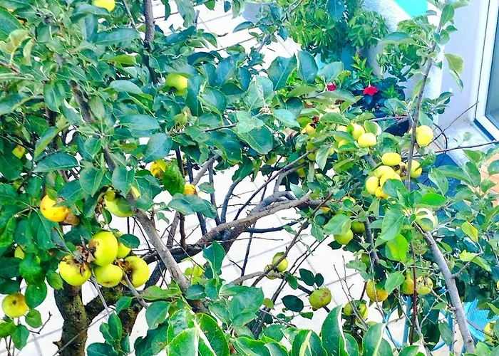 Loft La Buena Vida * 페냐란다 데 두에로