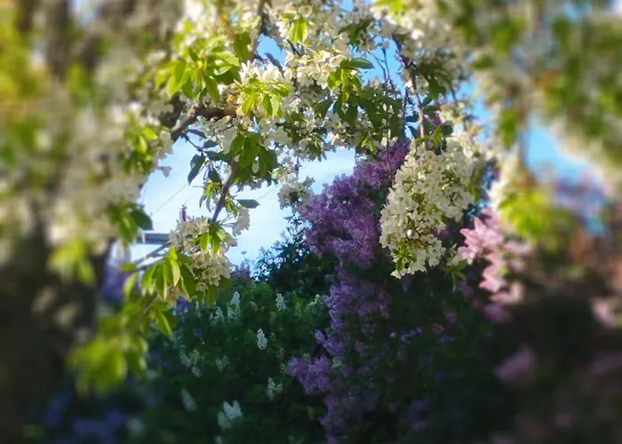 Loft La Buena Vida 아파트 *