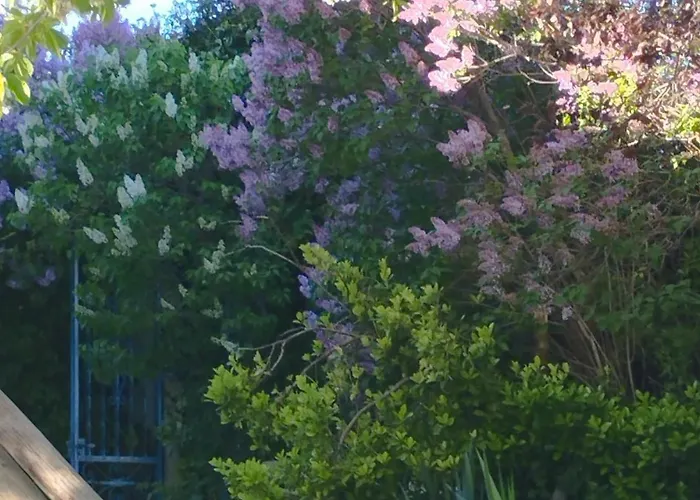 Loft La Buena Vida 페냐란다 데 두에로