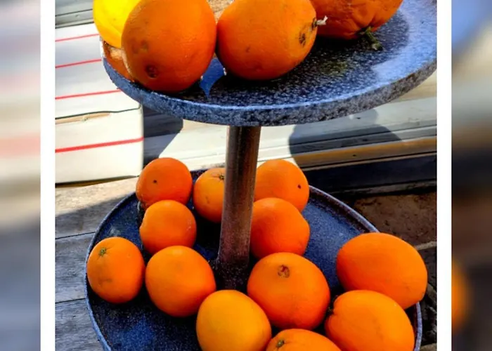 Appartement Loft La Buena Vida Penaranda de Duero