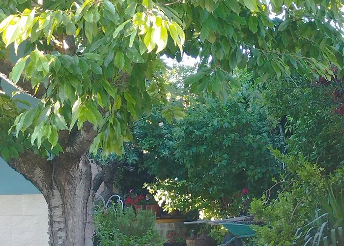 Loft La Buena Vida *