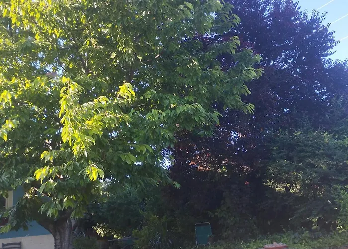 Loft La Buena Vida 아파트 *