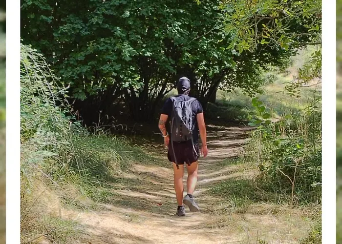 Loft La Buena Vida *